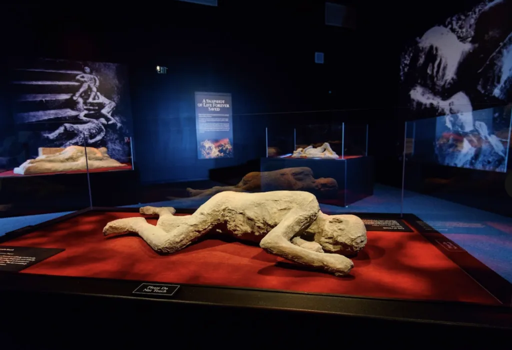 Body casts on display in the "Buried in Ash" gallery at "Pompeii: The Exhibition."